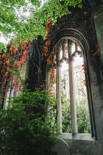 St Dunstan in the East church gardens