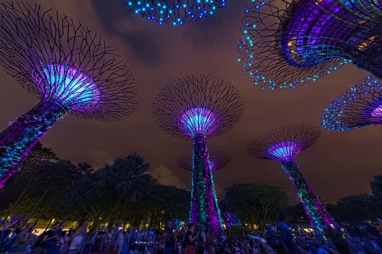 Supertree Grove, Gardens by the bay