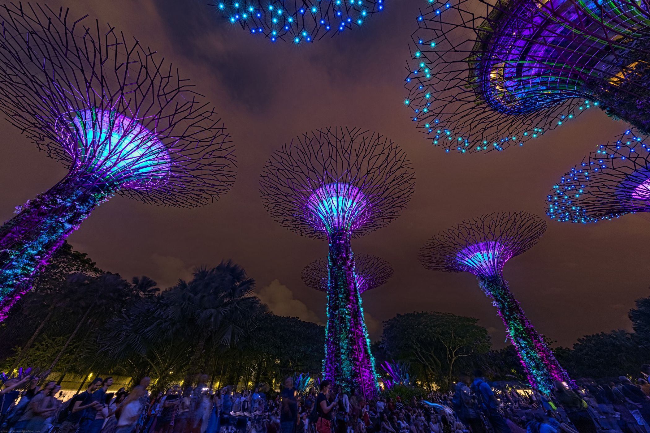 Supertree Grove, Gardens by the bay, Singapore