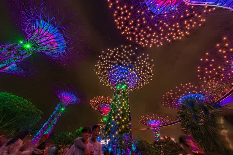 Supertree Grove, Gardens by the bay