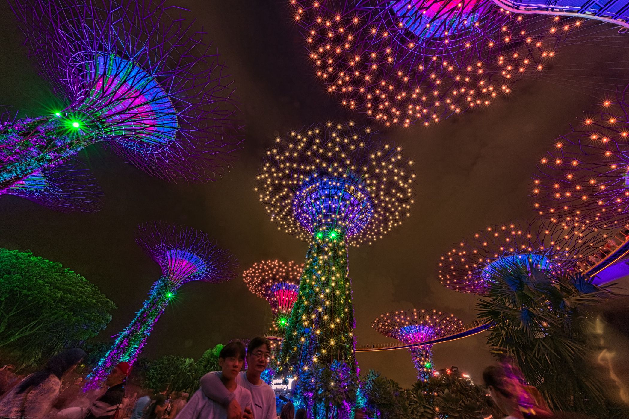 Supertree Grove, Gardens by the bay, Singapore