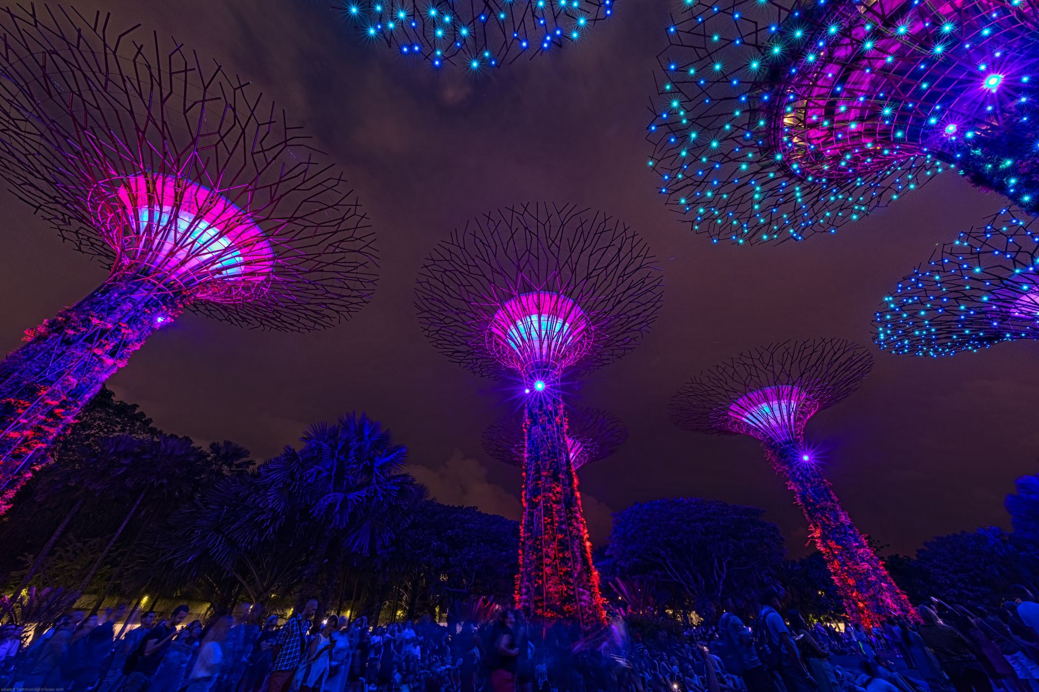 Supertree Grove, Gardens by the bay, Singapore