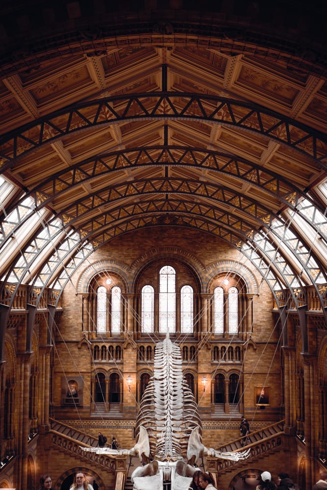 The Natural History Museum Lobby, London, United Kingdom