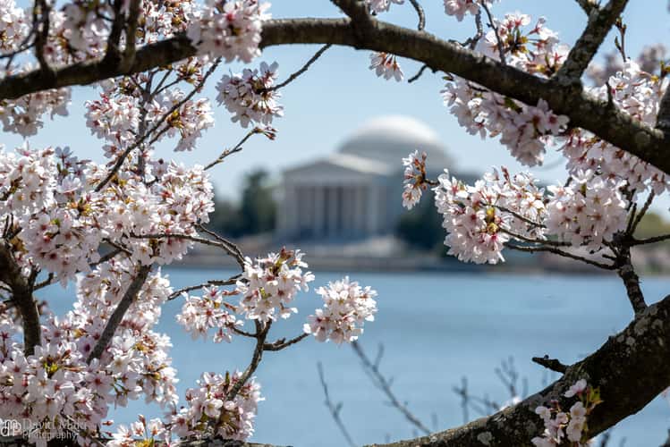 Tidal Basin