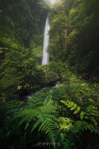 Wanagiri Pucak Manik Waterfall