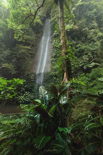 Wanagiri Pucak Manik Waterfall