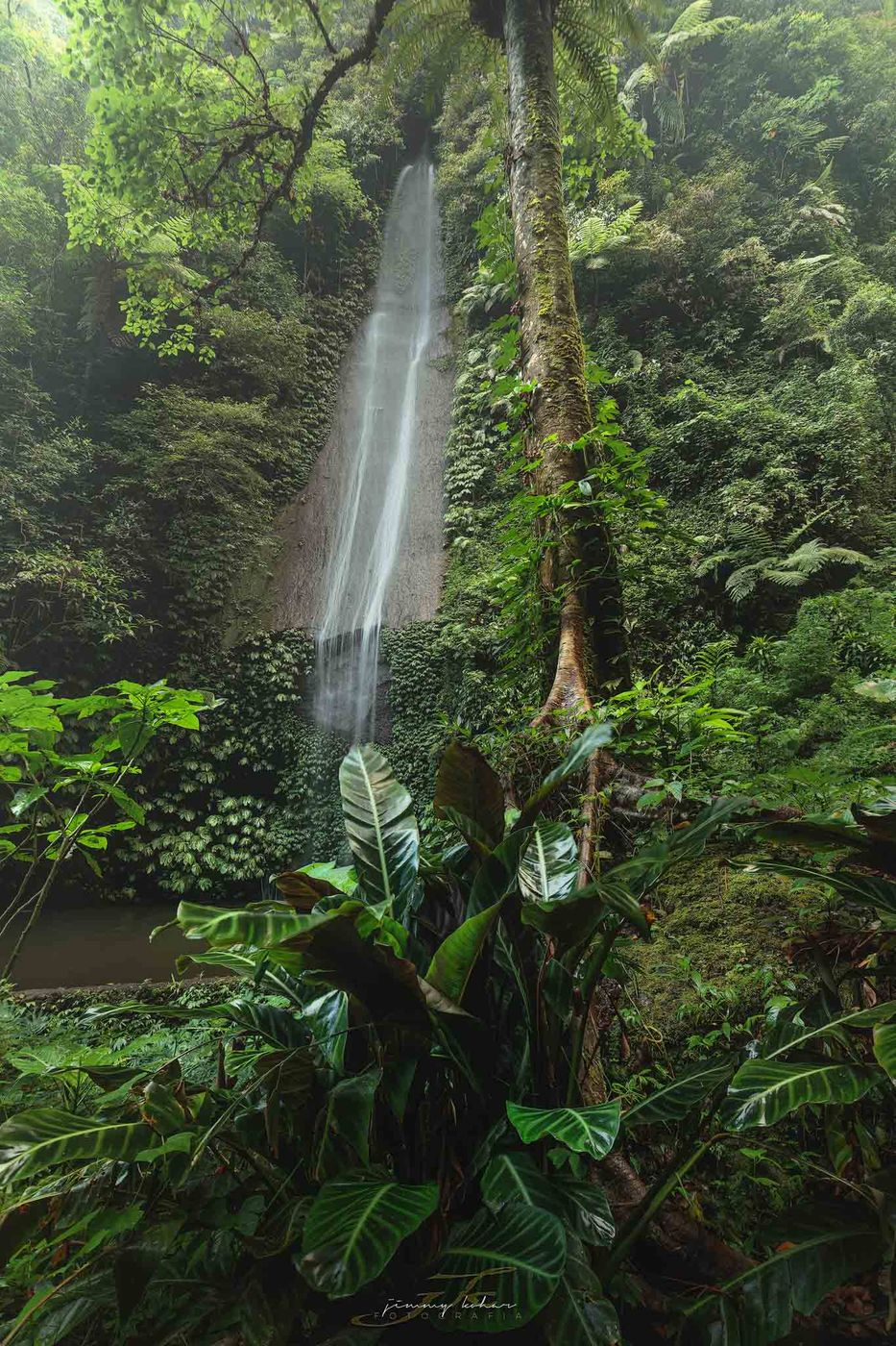 Wanagiri Pucak Manik Waterfall, Indonesia
