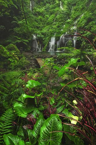 Wanagiri Pucak Manik Waterfall