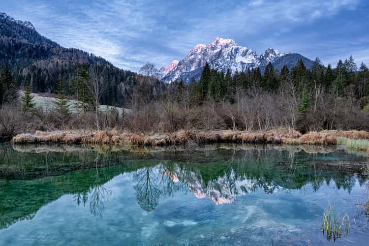 Zelenci Nature Reserve