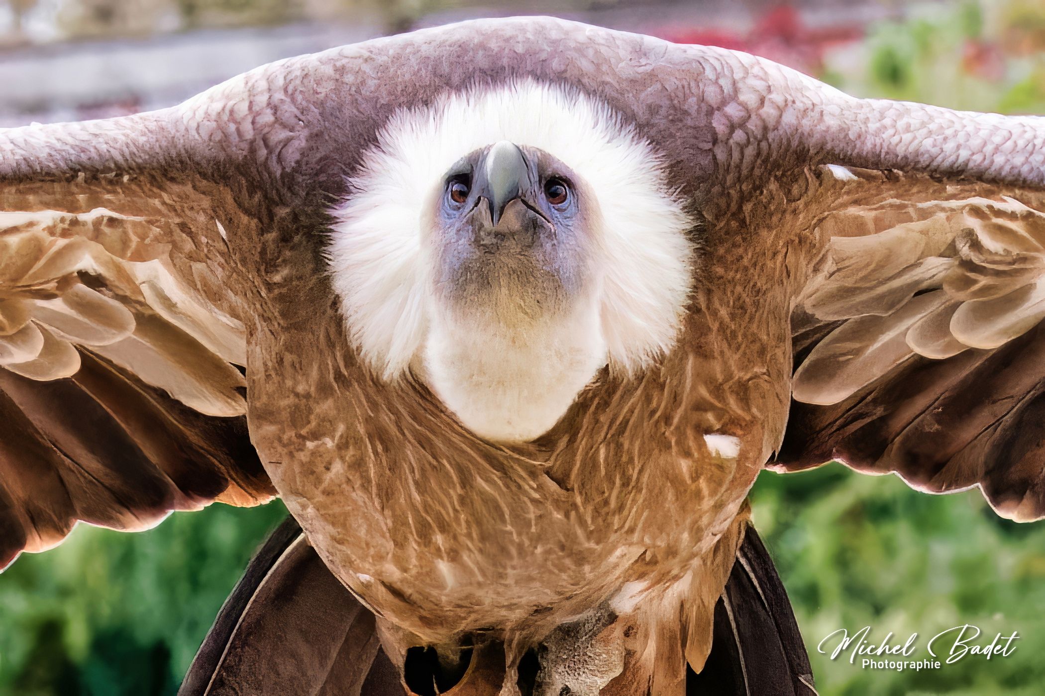 Beauval Zoo, France