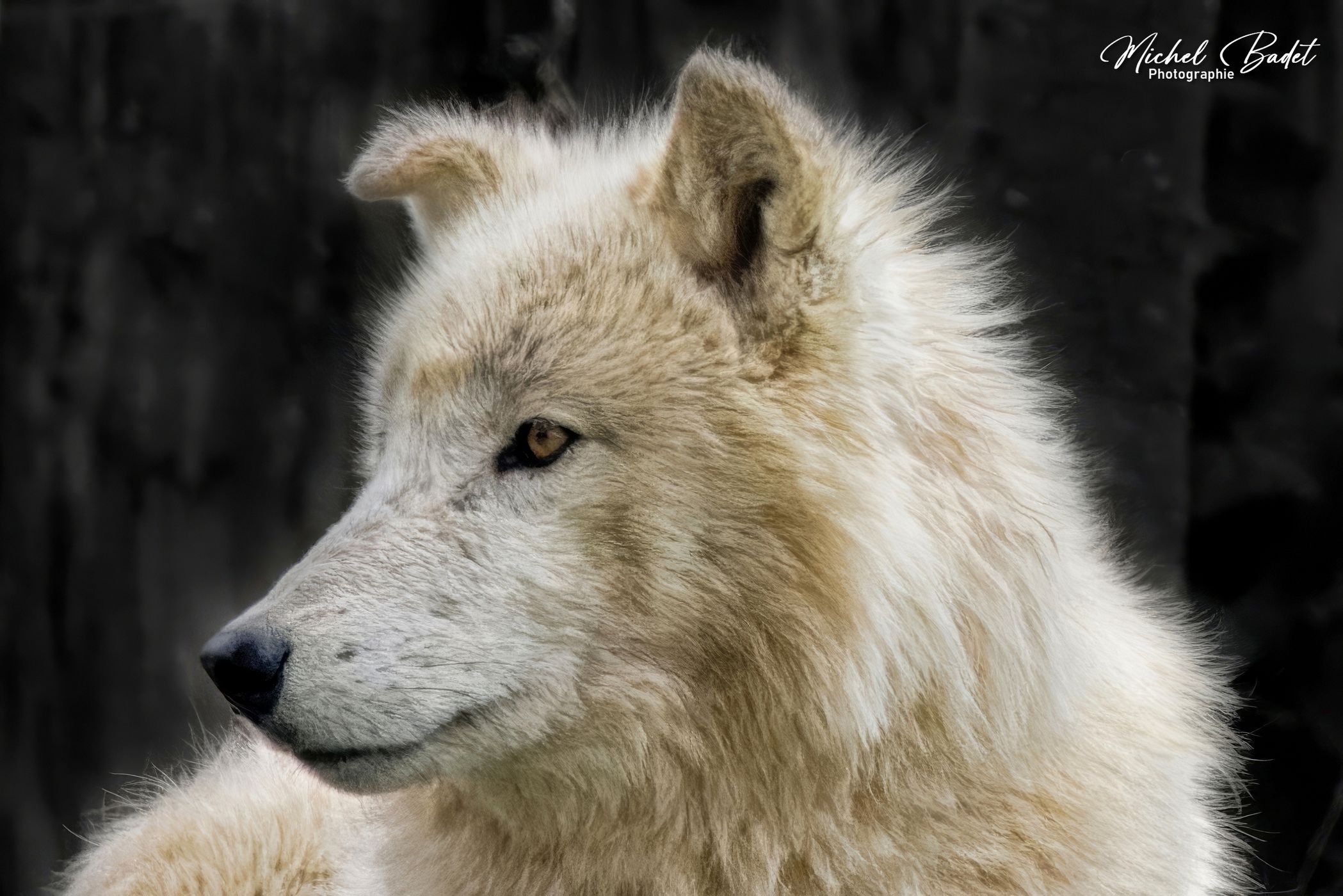Beauval Zoo, France