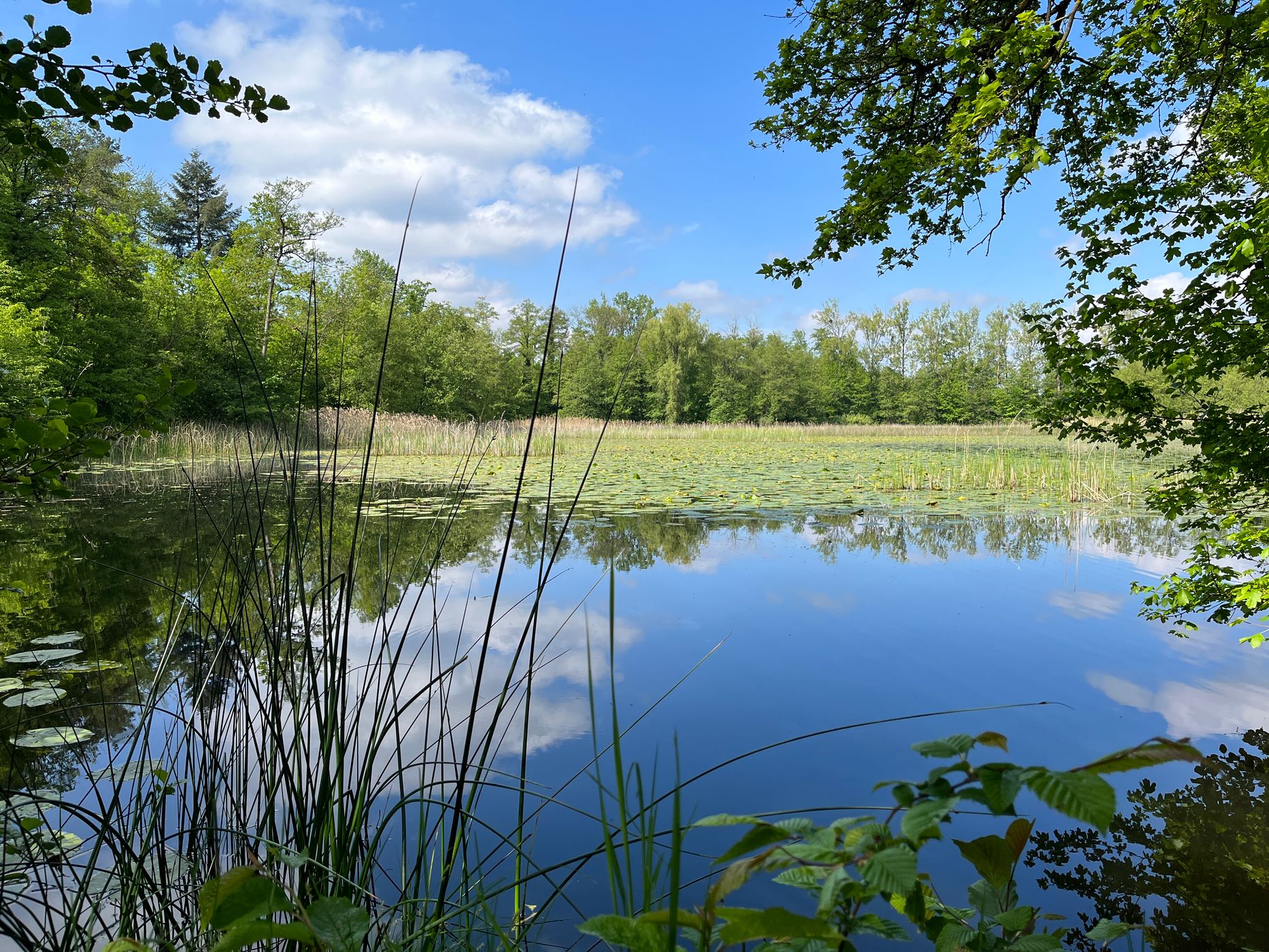 Bleichsee, Germany