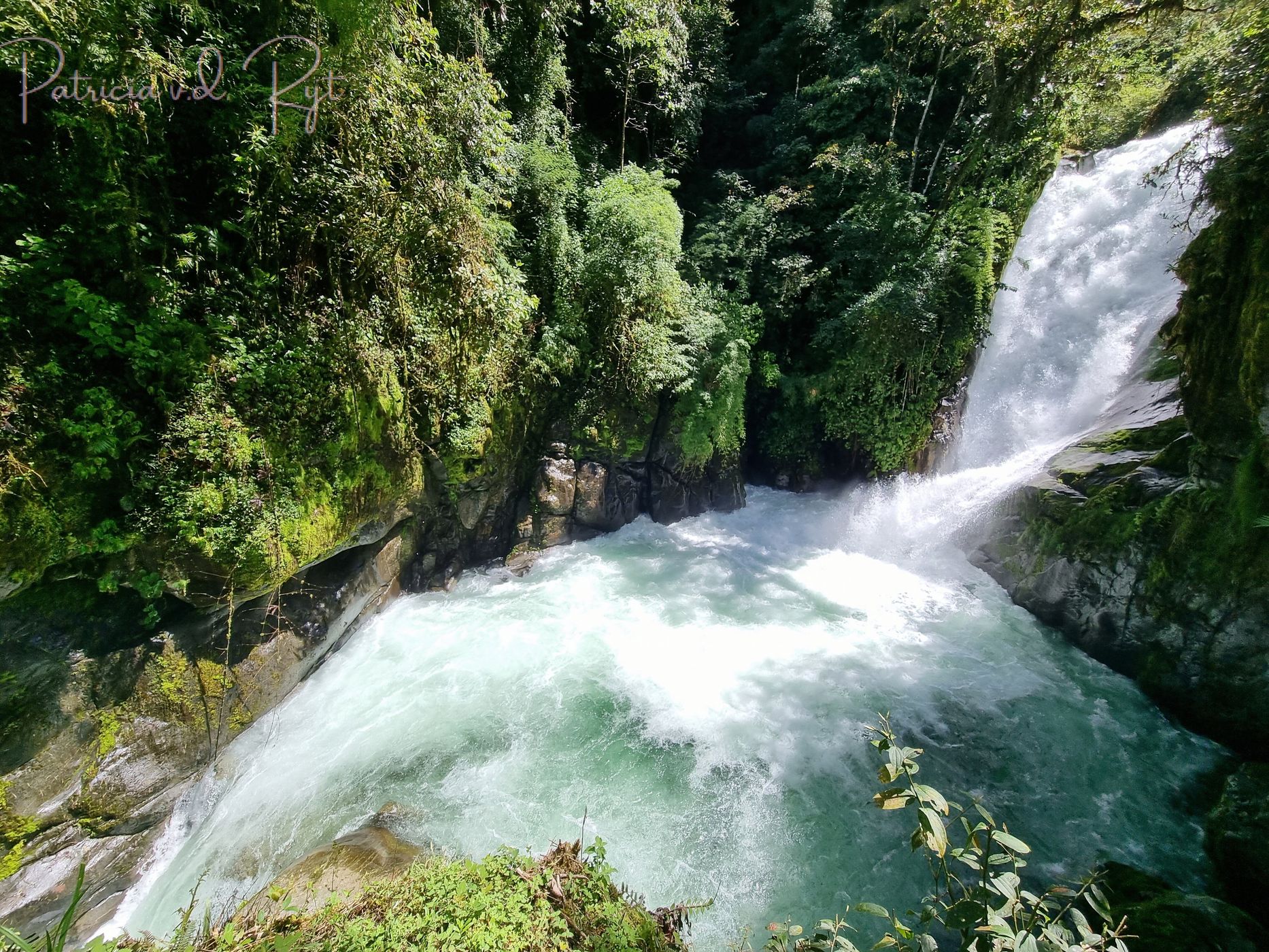 Cloudbridge Nature Reserve, Costa Rica