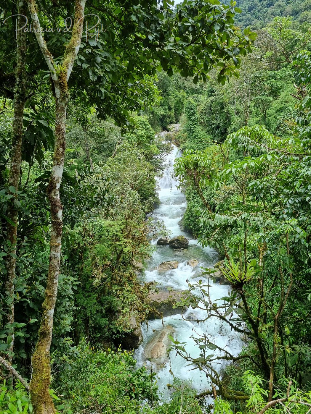 Cloudbridge Nature Reserve, Costa Rica
