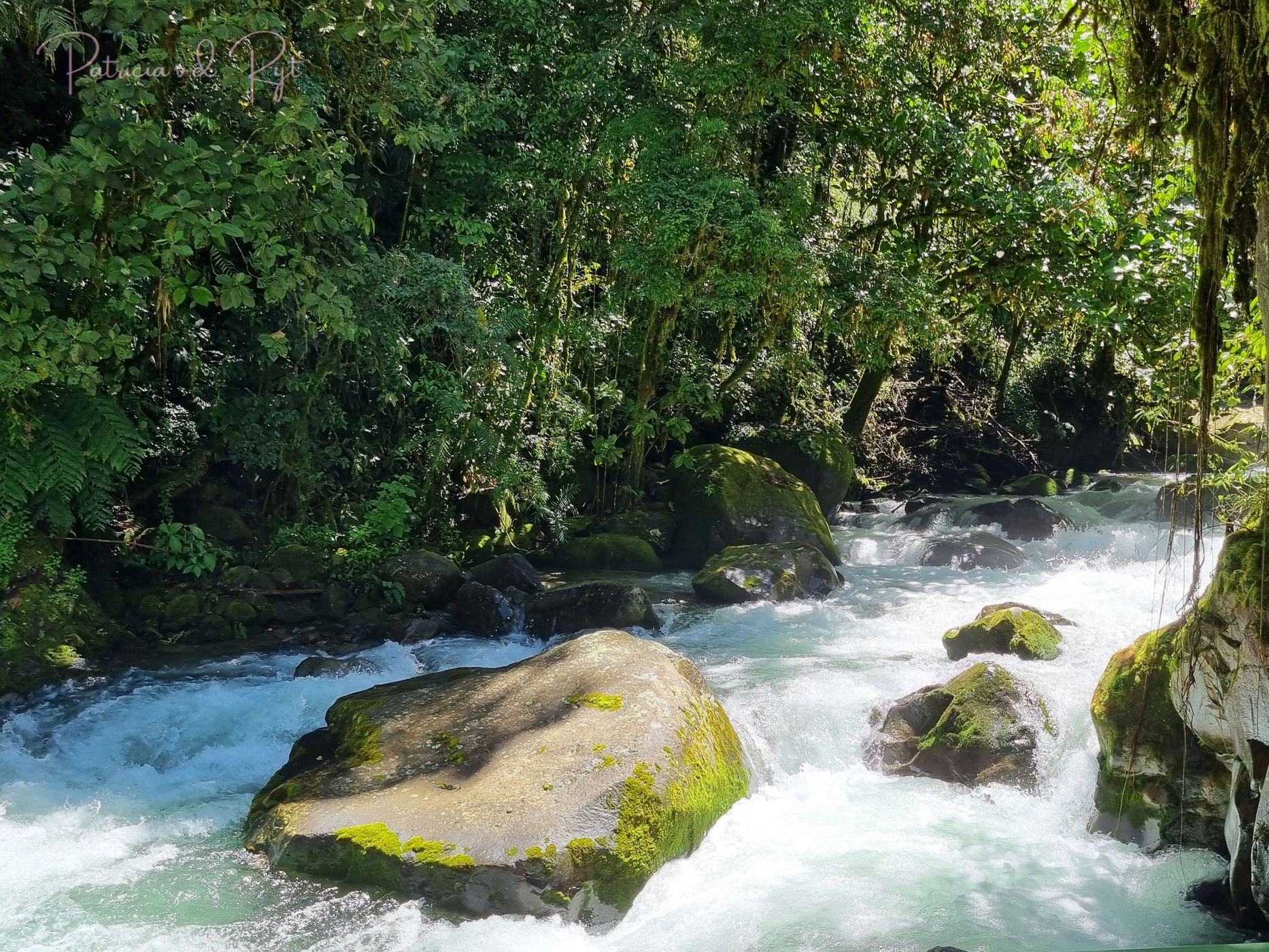 Cloudbridge Nature Reserve, Costa Rica