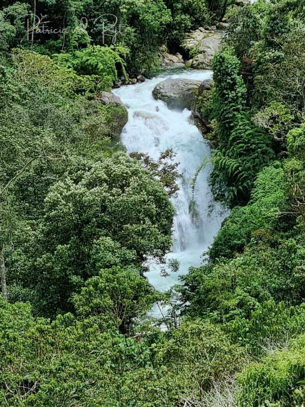 Cloudbridge Nature Reserve, Costa Rica