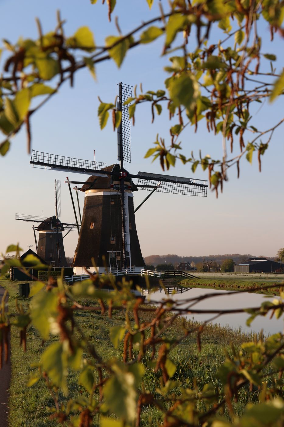 Driemoles, Netherlands