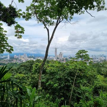 Parque natural metropolitano & Ancon Hill, Panama