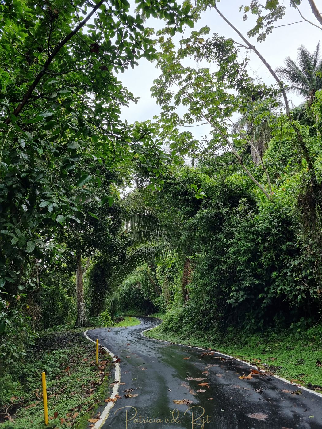 Parque natural metropolitano & Ancon Hill, Panama