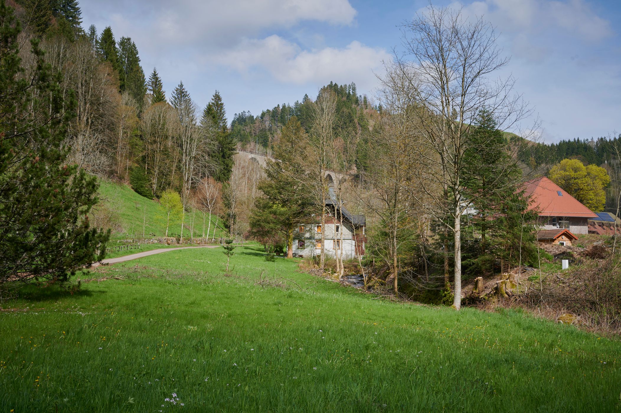 Goat Hill, Ravennaschlucht, Germany