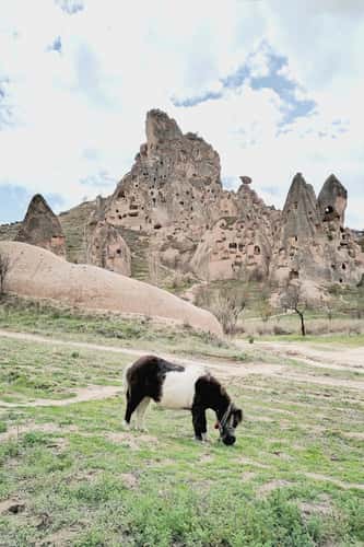 Kapadokya