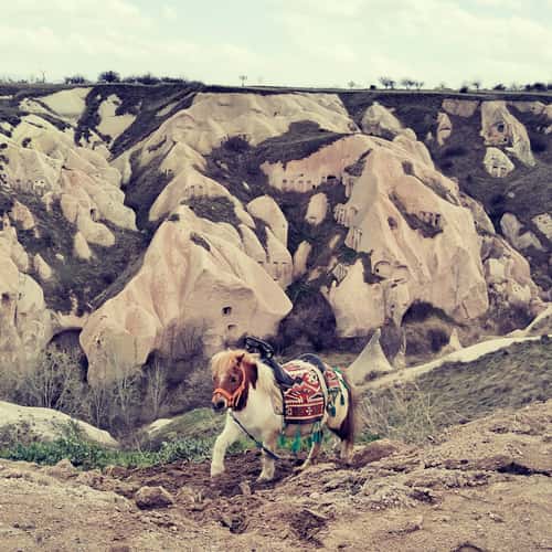 Kapadokya