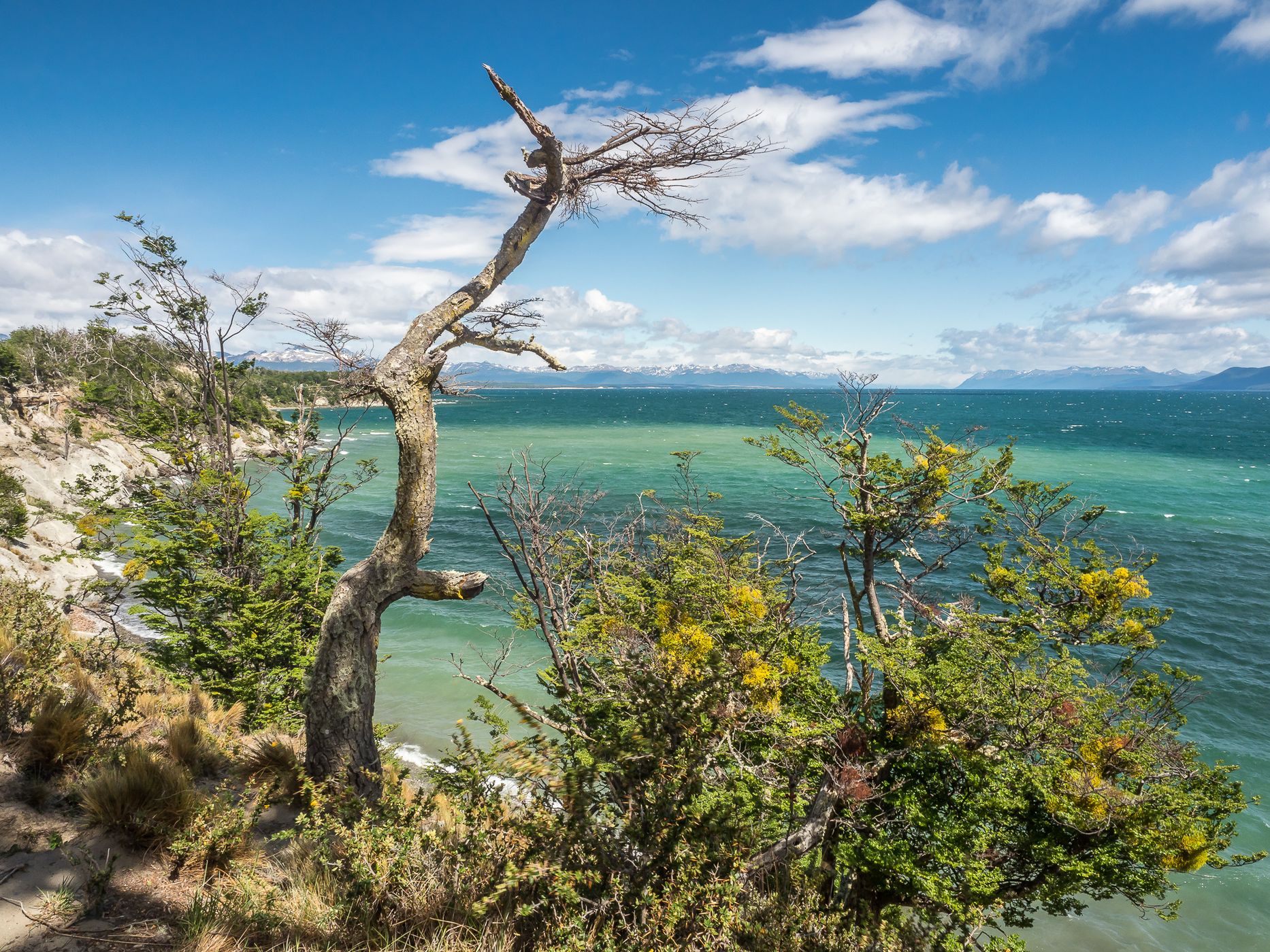 Lago Fagnano Lookout, Argentina