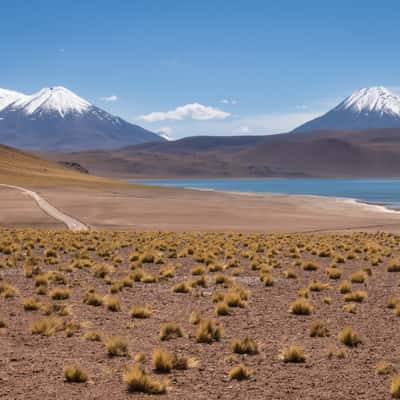 Laguna Miscanti, Chile