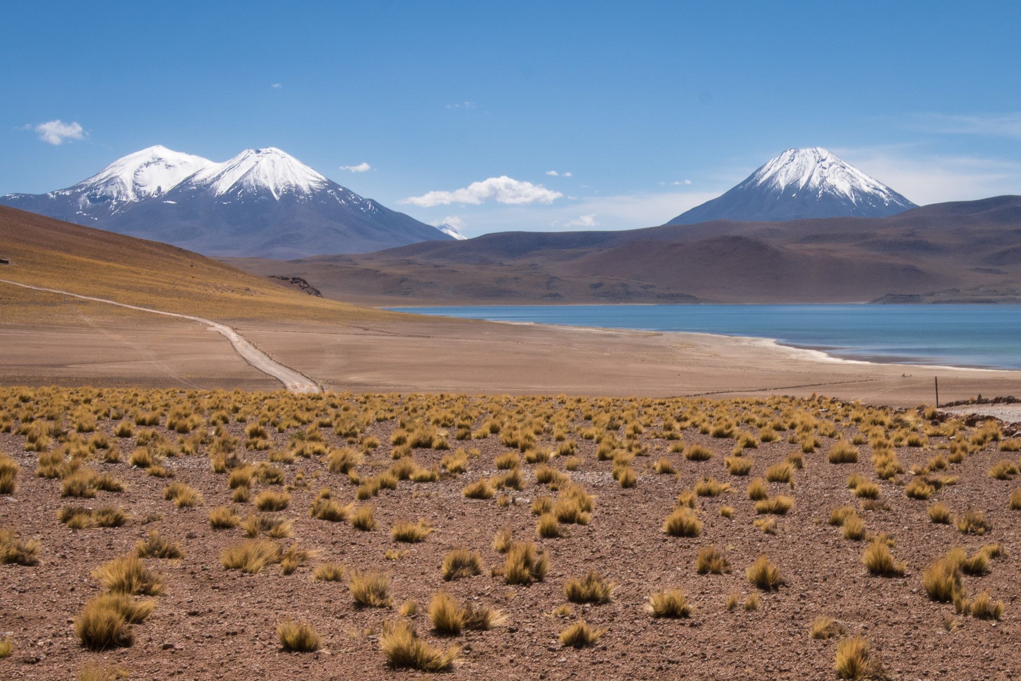 Laguna Miscanti, Chile