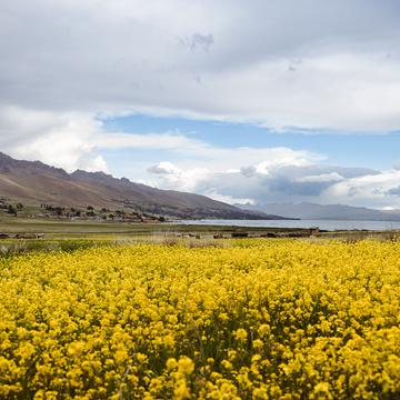 Lake Langui Lago, west-north site, Peru