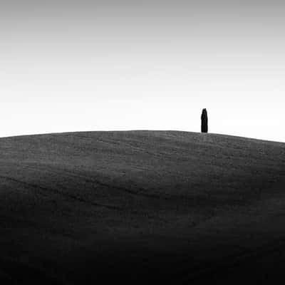 Lonely Tuscany Tree, Italy