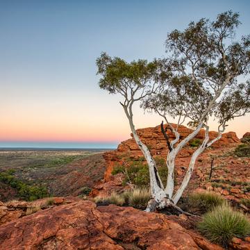 Looking out of Kings Canyon, Northern Territory, Australia