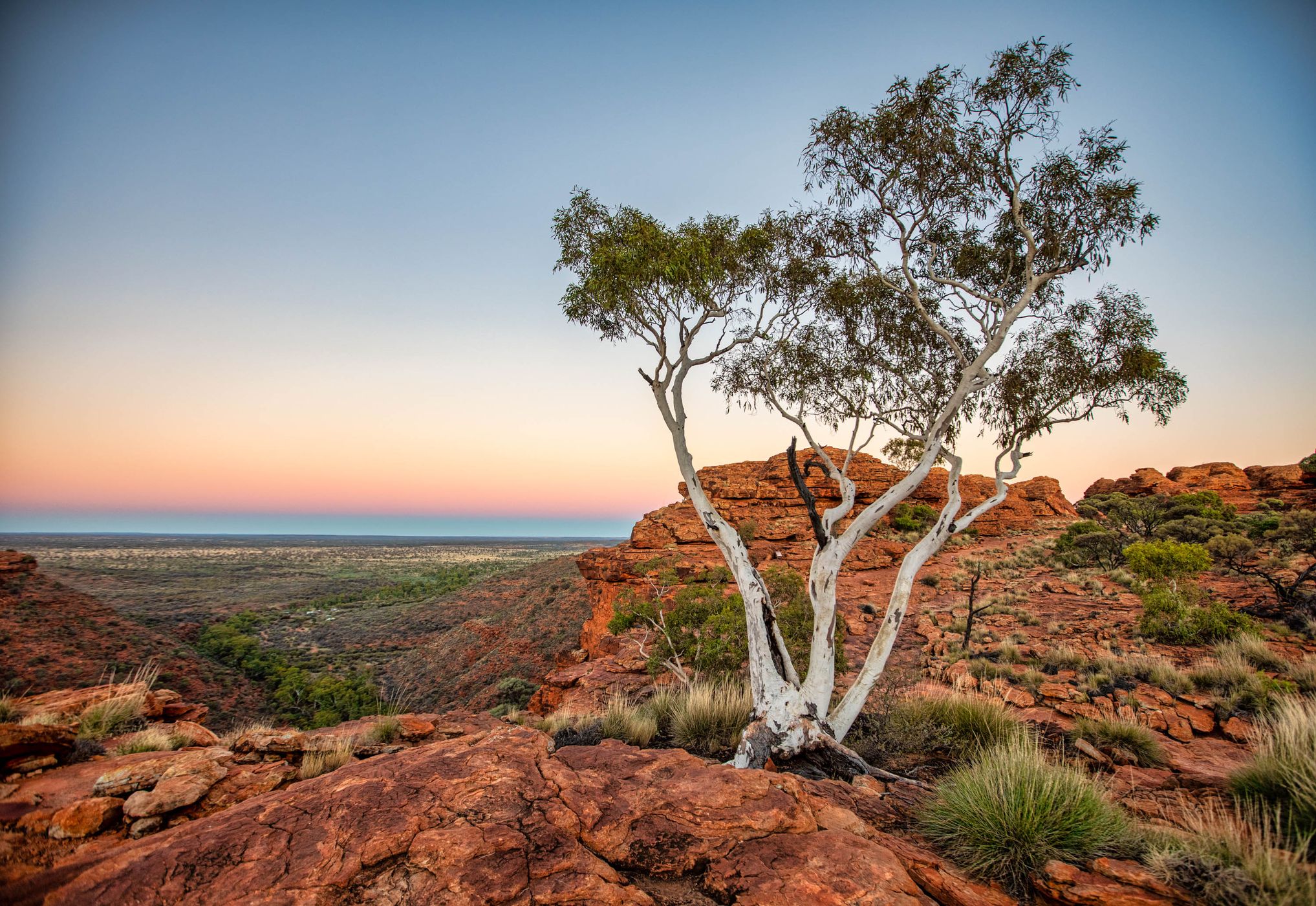 Looking out of Kings Canyon, Northern Territory, Australia