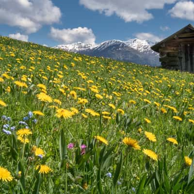 near Rescher Alm, Italy