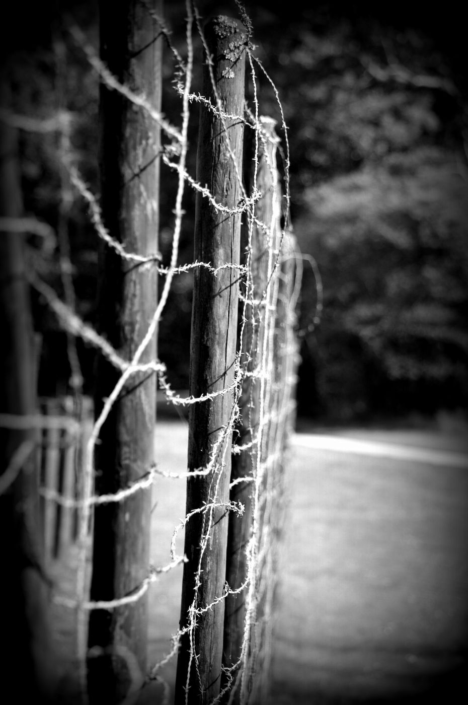 Remembrance Center of Camp Westerbork, Netherlands