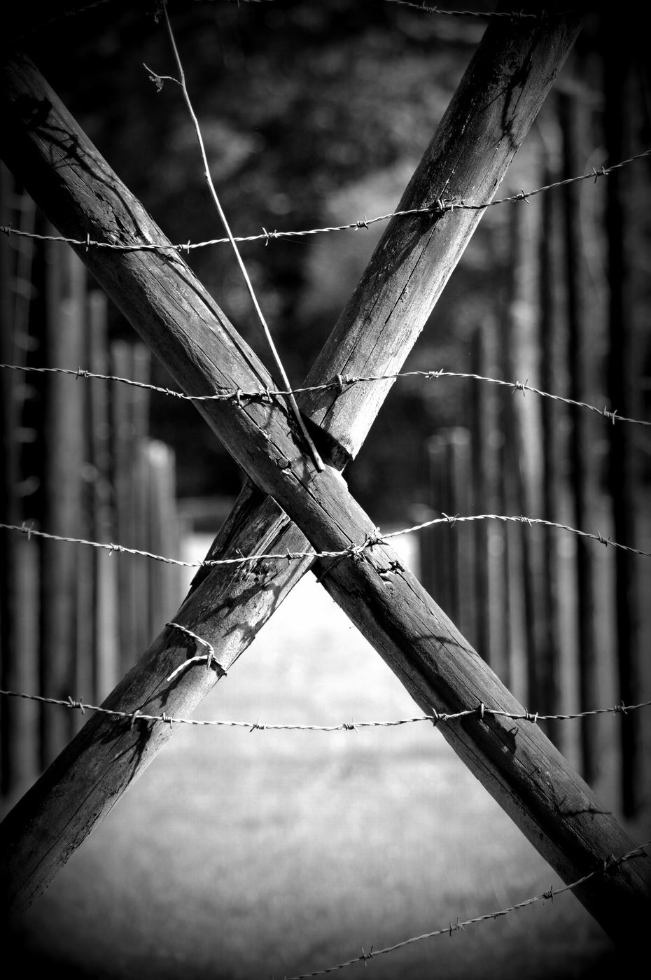 Remembrance Center of Camp Westerbork, Netherlands