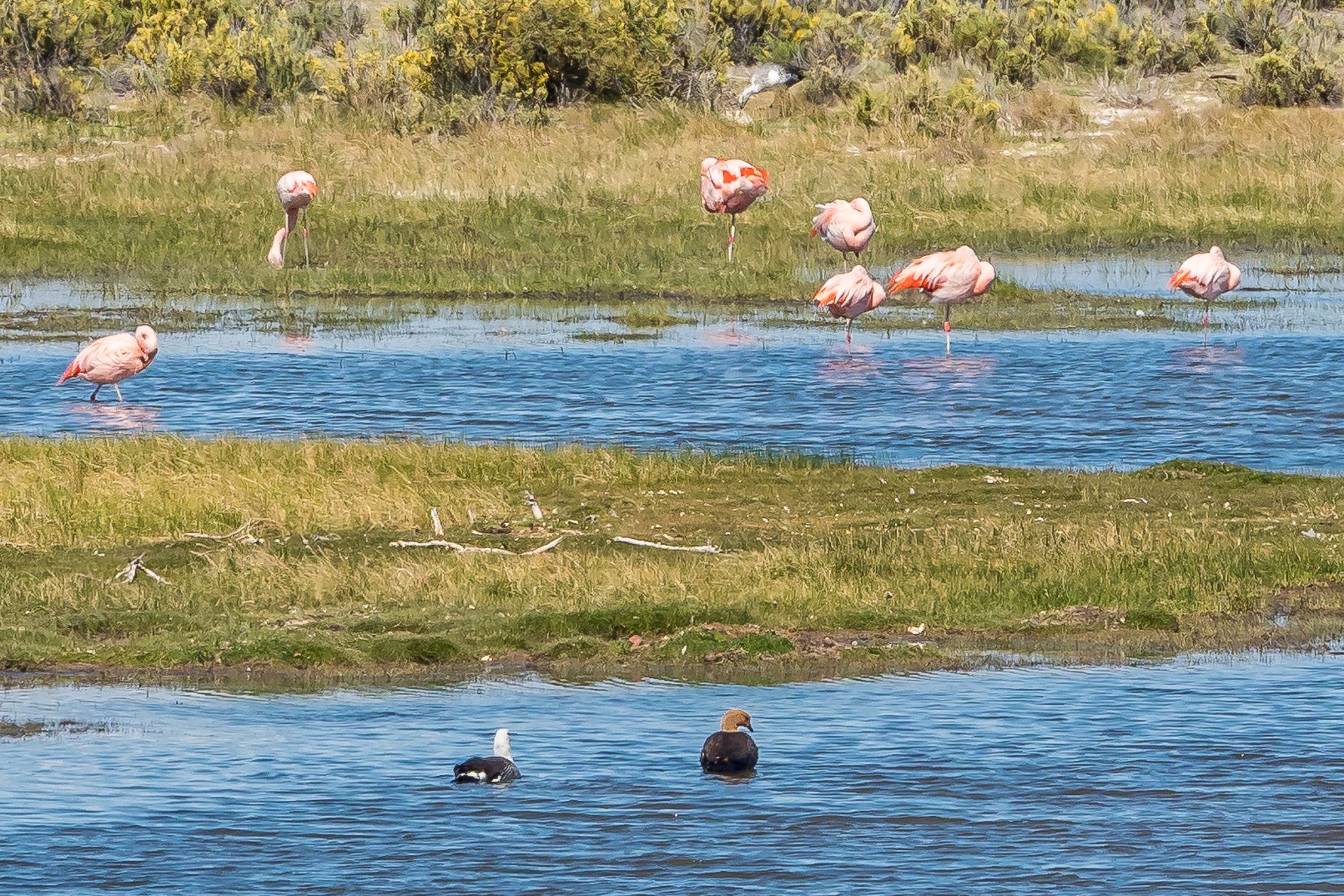 Rio Coyle Floodplain at RN 3, Argentina