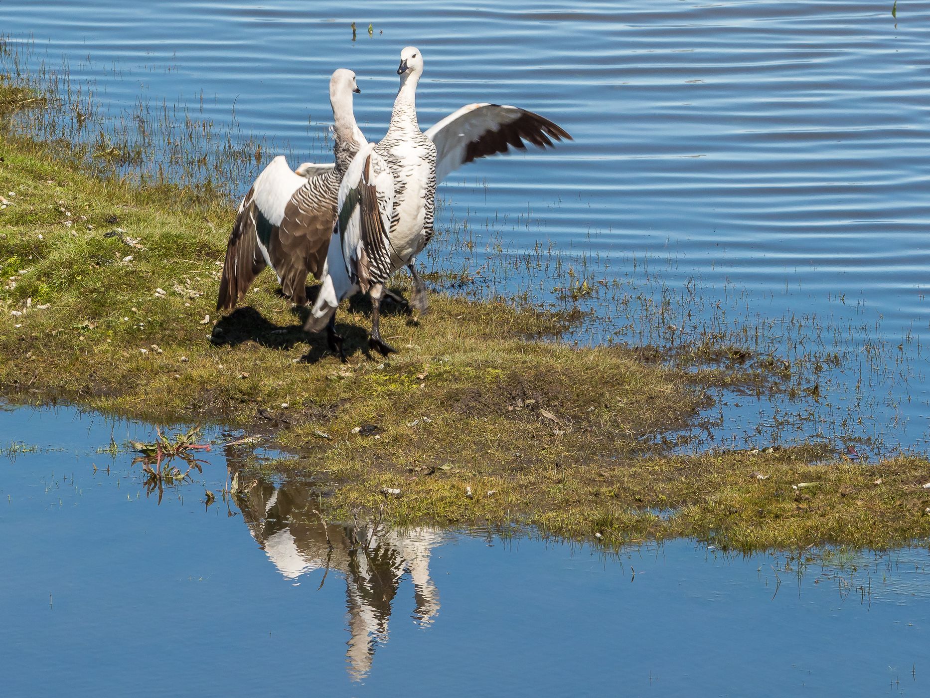Rio Coyle Floodplain at RN 3, Argentina