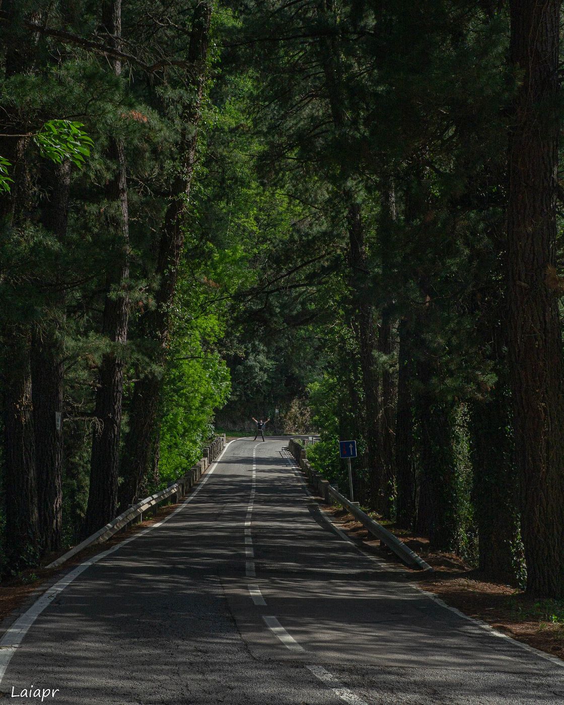 Road to mountain, Spain