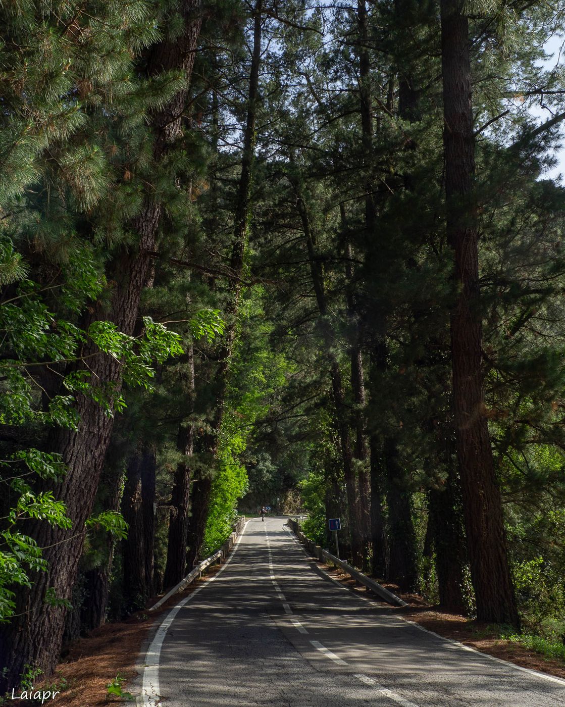 Road to mountain, Spain