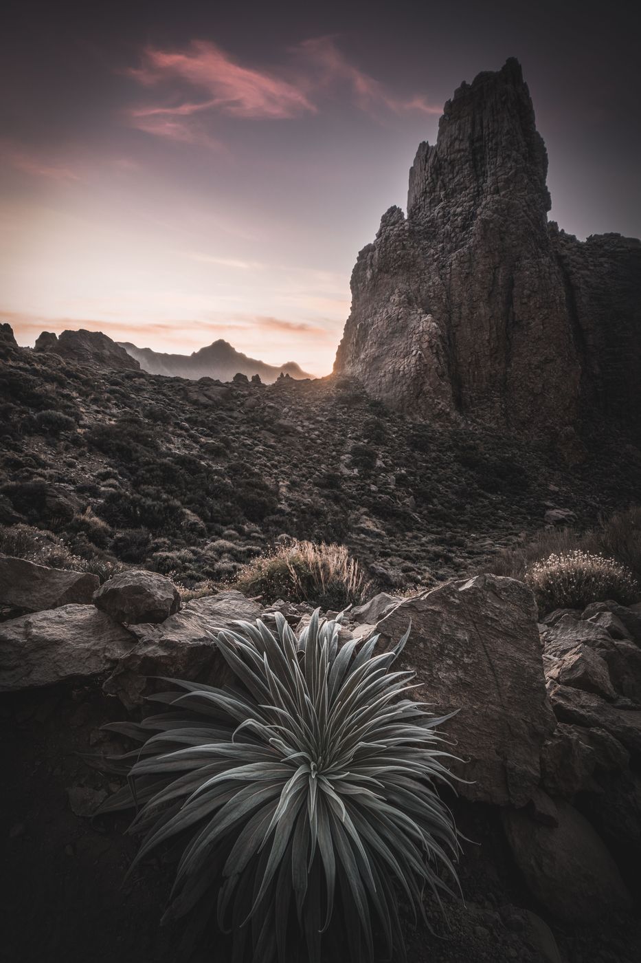 Roque Chinchado, Spain