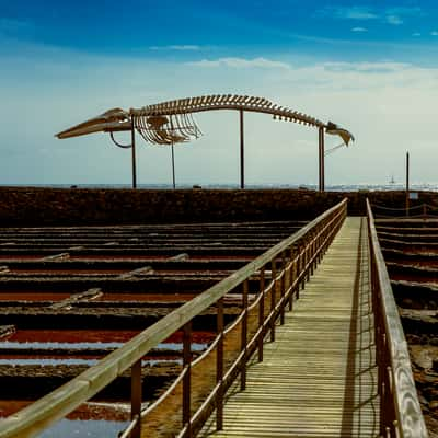 Salinas del Carmen, Spain