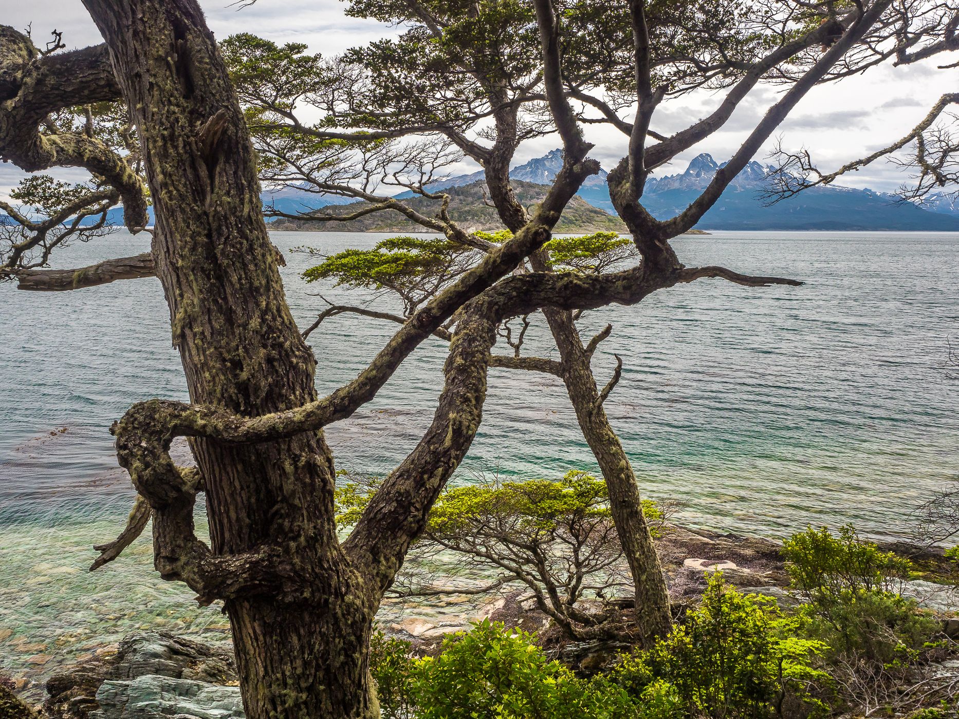 Senda Costera in Tierra del Fuego National Park, Argentina