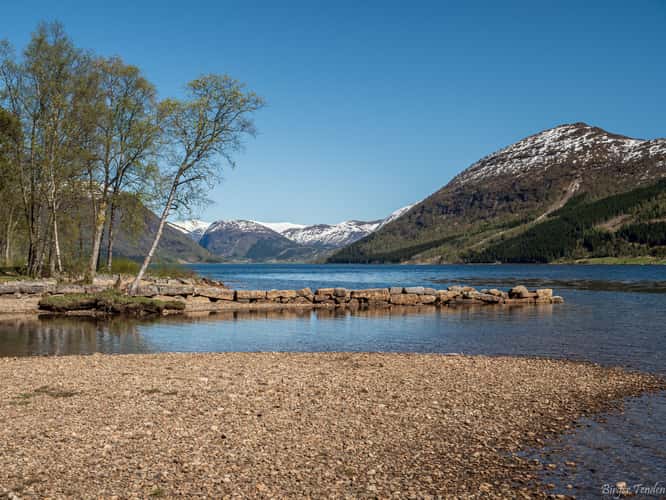 Svidalsneset