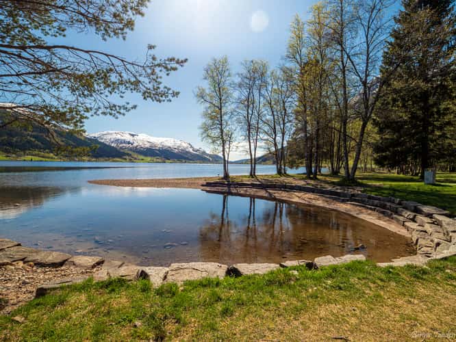 Svidalsneset