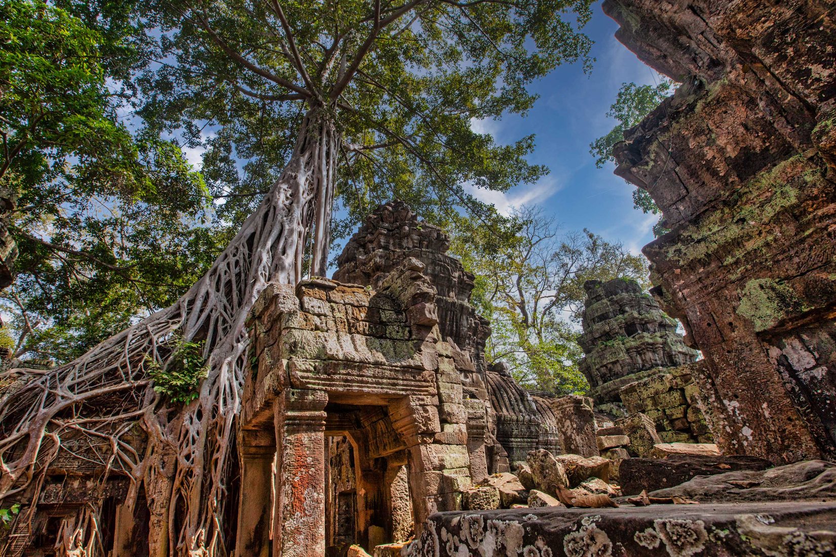 Temple Ta Prohm, Siem Reap, Cambodia