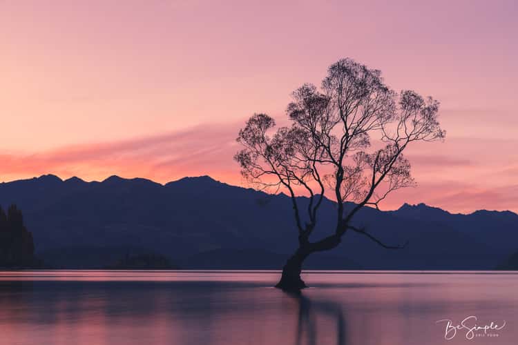 Lake Wanaka - The lonely Tree