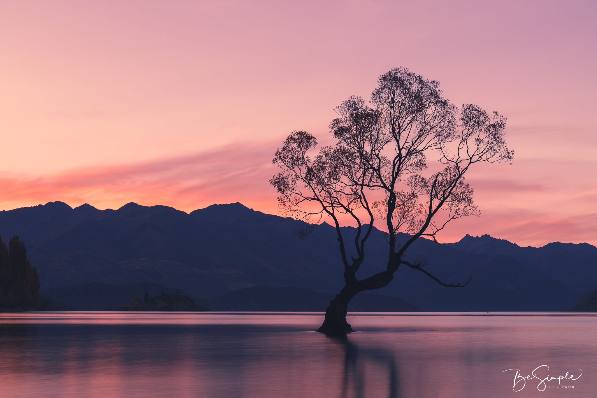 Lake Wanaka - The lonely Tree, New Zealand