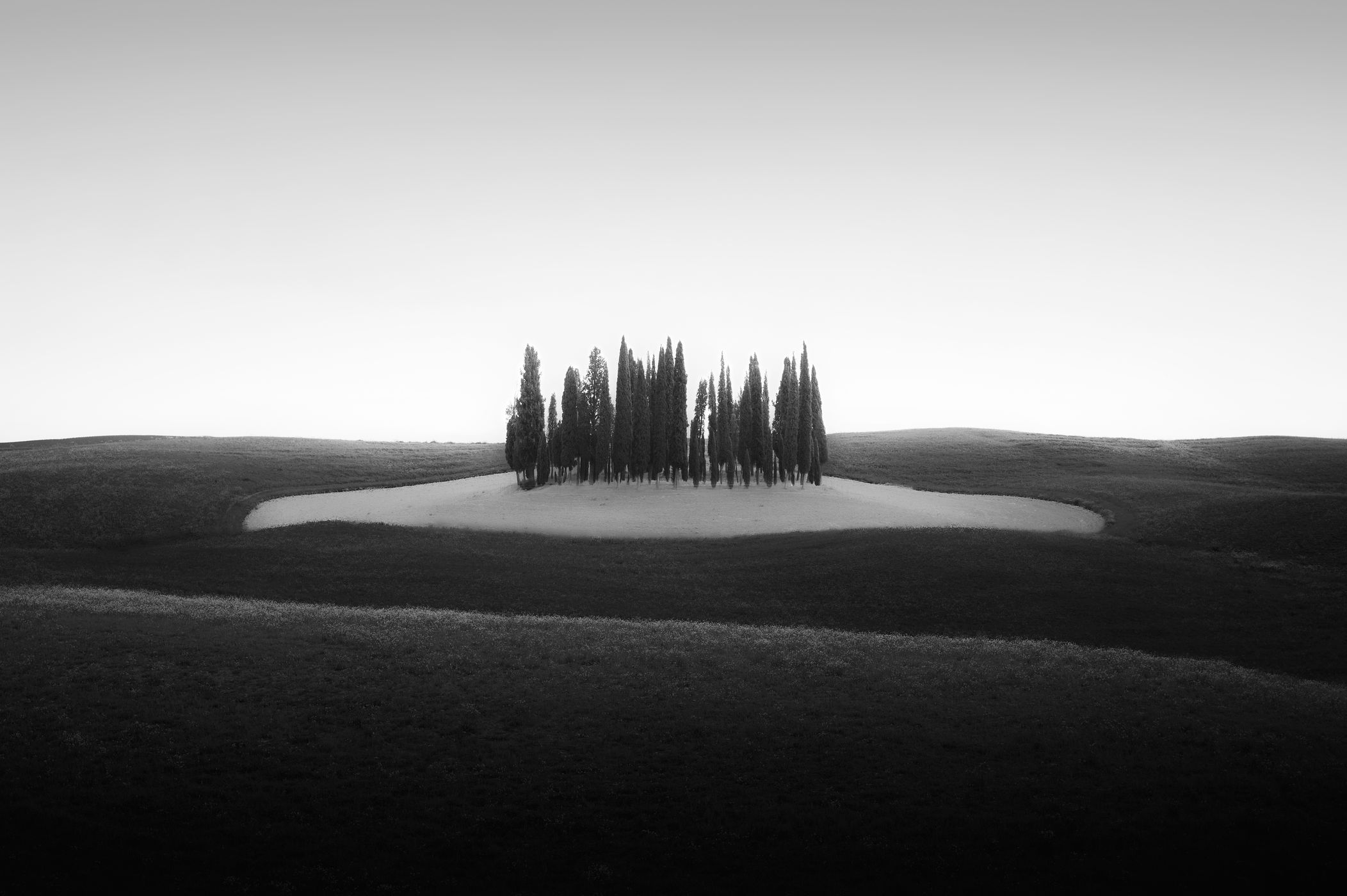 Tuscany Grove, Italy