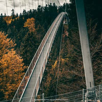 Wildline Bridge Bad-Wildbad, Germany